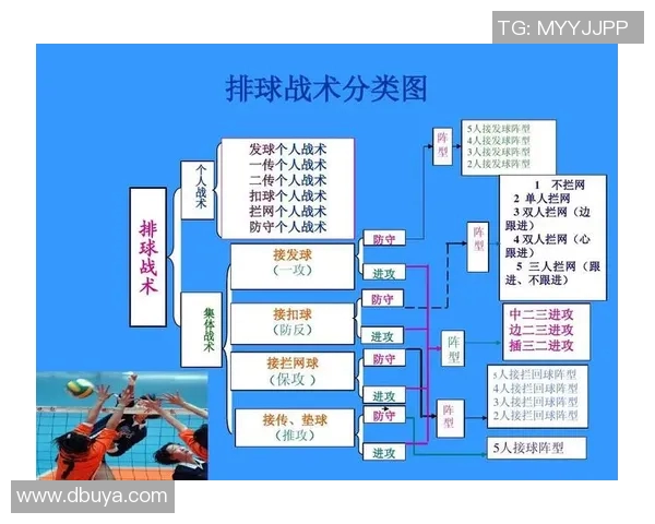 西安排球队中路突破战术解析与排球热点探讨