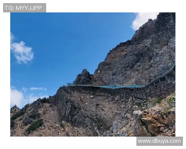 吴娜独家分享攀岩技巧与心得体会助你征服高峰与挑战自我